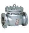 check valve-04