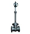 gate valve-01